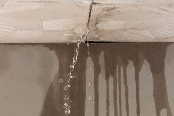 Professional Burst Pipe Cleanup technician working in Buhl, MN